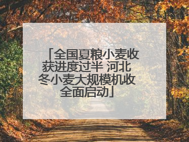 全国夏粮小麦收获进度过半 河北冬小麦大规模机收全面启动