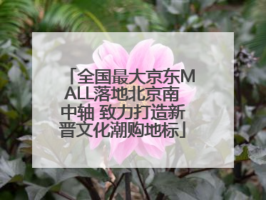 全国最大京东MALL落地北京南中轴 致力打造新晋文化潮购地标