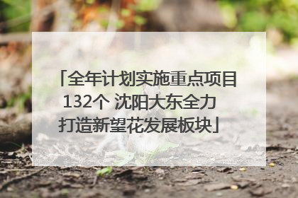 全年计划实施重点项目132个 沈阳大东全力打造新望花发展板块