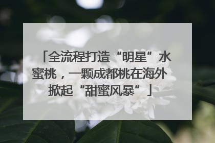 全流程打造“明星”水蜜桃，一颗成都桃在海外掀起“甜蜜风暴”