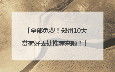 全部免费！郑州10大赏荷好去处推荐来啦！