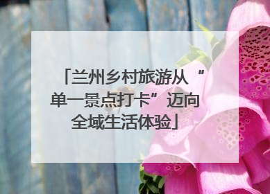 兰州乡村旅游从“单一景点打卡”迈向全域生活体验