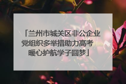 兰州市城关区非公企业党组织多举措助力高考 暖心护航学子圆梦