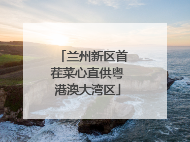 兰州新区首茬菜心直供粤港澳大湾区
