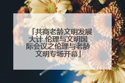 共商老龄文明发展大计 伦理与文明国际会议之伦理与老龄文明专场开幕