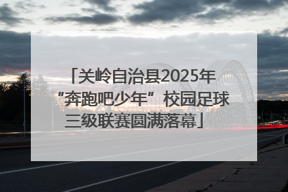 关岭自治县2025年“奔跑吧少年”校园足球三级联赛圆满落幕