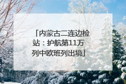 内蒙古二连边检站：护航第11万列中欧班列出境