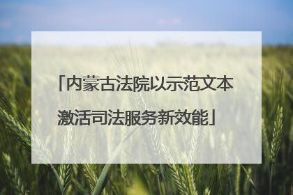 内蒙古法院以示范文本激活司法服务新效能