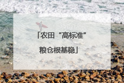 农田“高标准” 粮仓根基稳