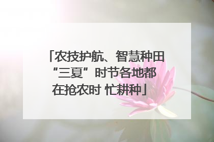 农技护航、智慧种田 “三夏”时节各地都在抢农时 忙耕种