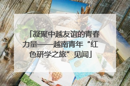 凝聚中越友谊的青春力量——越南青年“红色研学之旅”见闻