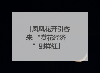 凤凰花开引客来 “赏花经济”别样红