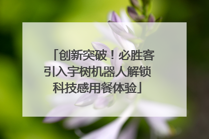 创新突破！必胜客引入宇树机器人解锁科技感用餐体验
