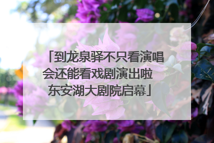 到龙泉驿不只看演唱会还能看戏剧演出啦 东安湖大剧院启幕