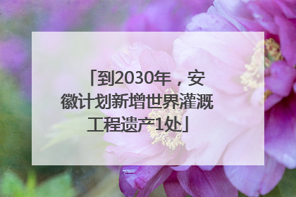 到2030年，安徽计划新增世界灌溉工程遗产1处