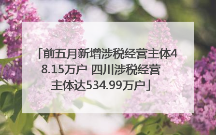 前五月新增涉税经营主体48.15万户 四川涉税经营主体达534.99万户