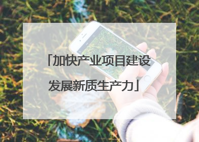加快产业项目建设 发展新质生产力