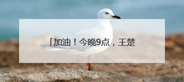 加油！今晚9点，王楚钦孙颖莎冲击3连冠