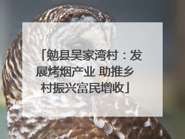 勉县吴家湾村：发展烤烟产业 助推乡村振兴富民增收