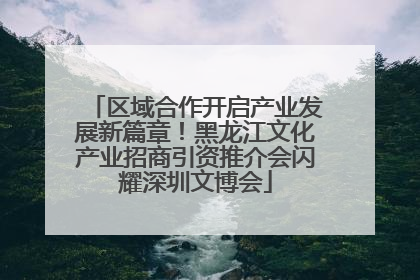区域合作开启产业发展新篇章！黑龙江文化产业招商引资推介会闪耀深圳文博会