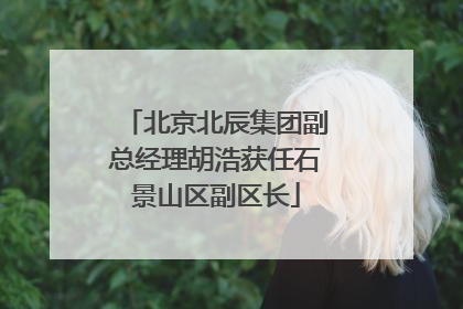 北京北辰集团副总经理胡浩获任石景山区副区长