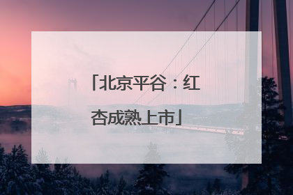 北京平谷：红杏成熟上市