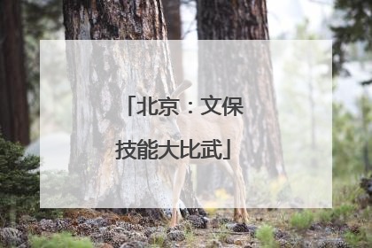 北京：文保技能大比武