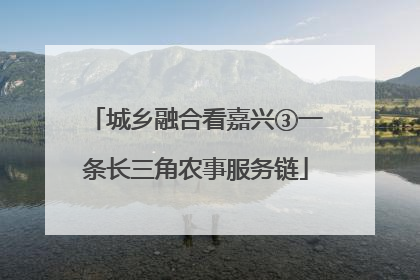 城乡融合看嘉兴③一条长三角农事服务链