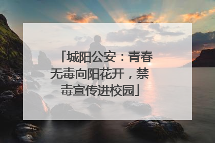 城阳公安：青春无毒向阳花开，禁毒宣传进校园