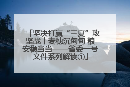 坚决打赢“三夏”攻坚战丨麦穗沉甸甸 粮安稳当当——省委一号文件系列解读①