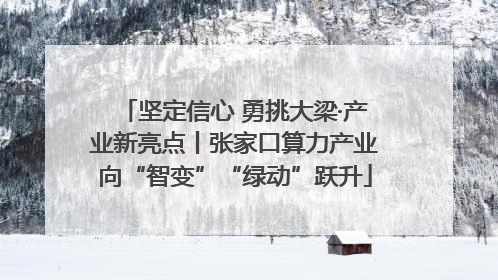 坚定信心 勇挑大梁·产业新亮点丨张家口算力产业向“智变”“绿动”跃升