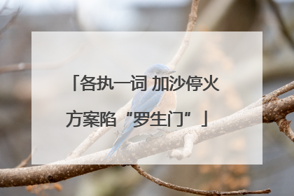 各执一词 加沙停火方案陷“罗生门”