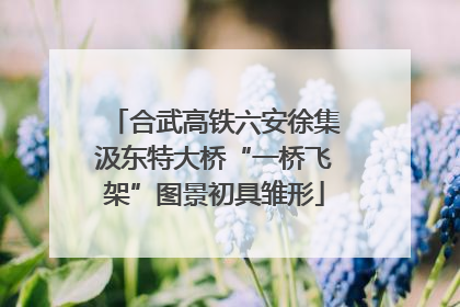 合武高铁六安徐集汲东特大桥“一桥飞架”图景初具雏形