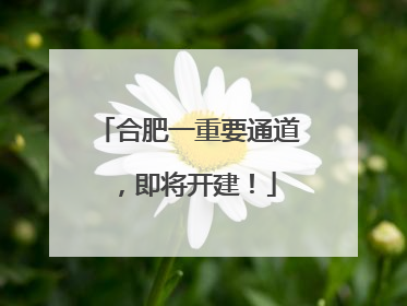 合肥一重要通道，即将开建！
