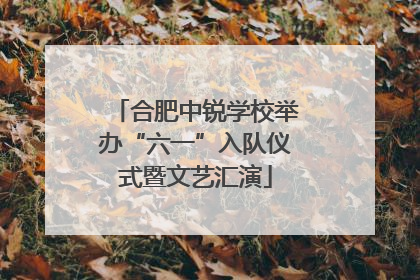 合肥中锐学校举办“六一”入队仪式暨文艺汇演