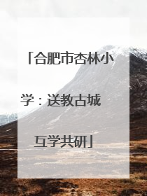 合肥市杏林小学：送教古城 互学共研