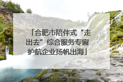 合肥市陪伴式“走出去”综合服务专窗护航企业扬帆出海