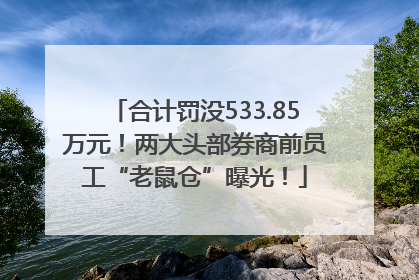 合计罚没533.85万元！两大头部券商前员工“老鼠仓”曝光！