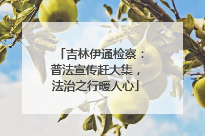 吉林伊通检察：普法宣传赶大集，法治之行暖人心