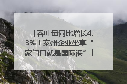 吞吐量同比增长4.3%！泰州企业坐享“家门口就是国际港”