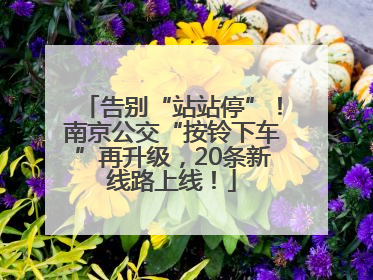 告别“站站停”！南京公交“按铃下车”再升级，20条新线路上线！
