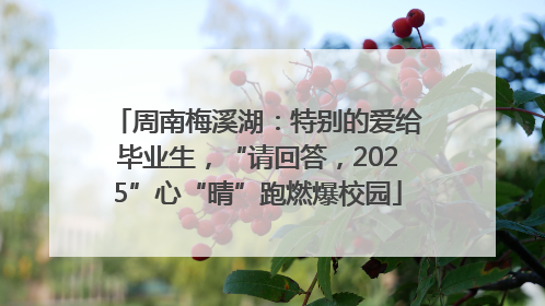 周南梅溪湖：特别的爱给毕业生，“请回答，2025”心“晴”跑燃爆校园