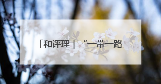 和评理｜“一带一路”促进共同发展 美国抹黑攻击酸味十足