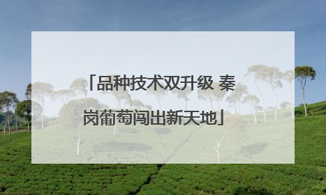 品种技术双升级 秦岗葡萄闯出新天地