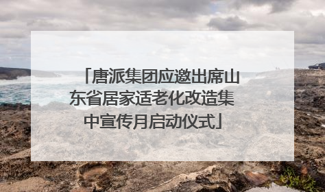 唐派集团应邀出席山东省居家适老化改造集中宣传月启动仪式