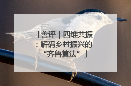 善评｜四维共振：解码乡村振兴的“齐鲁算法”
