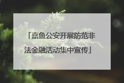 嘉鱼公安开展防范非法金融活动集中宣传