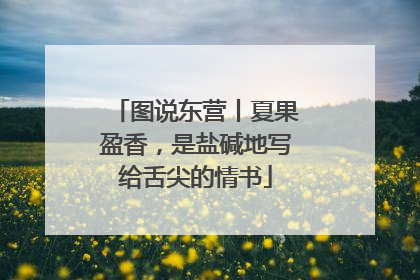 图说东营丨夏果盈香，是盐碱地写给舌尖的情书