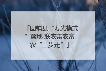固镇县“寿光模式”落地 联农带农富农“三步走”