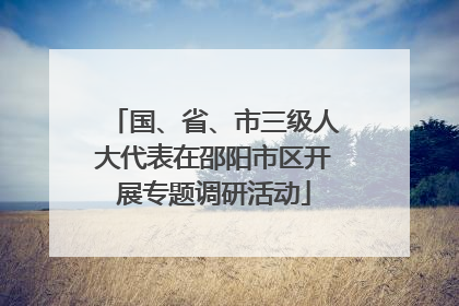 国、省、市三级人大代表在邵阳市区开展专题调研活动